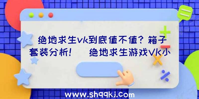 绝地求生vk到底值不值？箱子套装分析！（绝地求生游戏VK小箱子及套服）